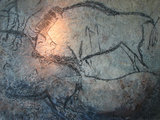 Feltételezett európaibölény-ábrázolás a niaux-i barlangból