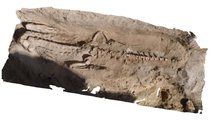 A nekropoliszban talált krokodil 3D-s rekonstrukciója