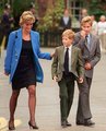 Diana fiaival, Vilmos és Harry hercegekkel