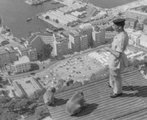 Alfred Homes őrmester két makákóval Gibraltáron