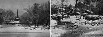 Az 1930-as, 1940-es években lelkes amatőr természetfotósok folyamatosan dokumentálták az Állatkert életét. A legjobban sikerült fotókat pályázatokon díjazták és közreadták az állatkerti folyóiratban.  A baloldalon Szombath László díjnyertes, A téli tó című képe, amelyik A Természet folyóirat 1940-es évfolyamának egyik címlapjára került. A jobboldalon pedig Haller László Téli Állatkerti tó című felvétele, amelyik az 1944-es évfolyamban jelent meg