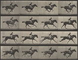 Muybridge lovas fotósorozata (kép forrása: hrc.utexas.edu)