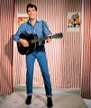 Elvis Presley 1964-ben (kép forrása: morrisonhotelgallery.com)