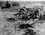 Amerikai csapatok Észak-Afrikában 1942 novemberében (kép forrása: warfarehistorynetwork.com)