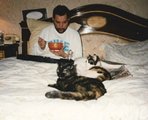Freddie Mercury macskái körében – a beszámolók szerint mintegy tíz állatot tartott luxuskörülmények között londoni palotájában (kép forrása: boredpanda.com)