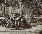 1880, indiai növények a Margit-fürdő előtti parkban