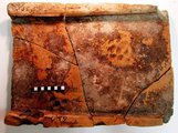 A négy darabból összeilleszthető, teljes méretében fennmaradt római tegula peremét jelentősen megrongálta az arra járó háziállat, ennek ellenére mégis kiégették és használták (Fotó: Novotnik Ádám)