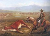 Vaquero akcióban az 1830-as évekbeli Kaliforniában