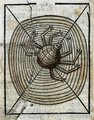 Pókot ábrázoló fametszet 1547-ből (kép forrása: Wikimedia Commons)