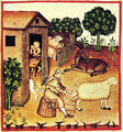 Valószínűleg nagyon ritka lehetett a középkorban az olyan jobbágycsalád, amely nem rendelkezett a sajtkészítéshez szükséges eszközökkel