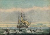Thomas Sutherland: „Déli tengeri bálnahalászat”, 1825.