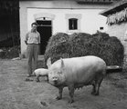 Bonyhád büszkesége Kotnyek Antal fotóművész, fotóriporter képén, 1954. (Fortepan/Kotnyek Antal)