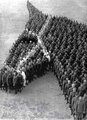 Tisztek és katonák lófejet formáznak az amerikai Camp Codyban az első világháború alatt