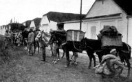 Osztrák-magyar katonák lovaikkal egy szerbiai faluban