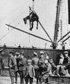 Lovat emelnek le egy brit szállítóhajóról Boulogne-ban 1914 augusztusában