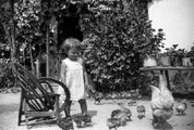 Kisgyerek baromfival 1938-ban
