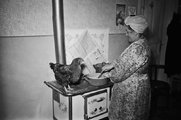 A tyúk is besegített a főzésben (1949)