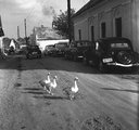 , Kossuth Lajos utca a Mádl Ferenc térnél (Posta köz), jobbra a posta (1962)