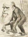 Darwint evolúciós elmélete a karikatúrák céltáblájává tette – ezzel szemben Lyell az emberi fajt élete végéig külön kategóriába sorolta