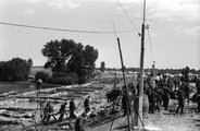 Óriásbuzgár a Maros töltésénél, az 1970. tavaszi árvíz idején (Fortepan / Szalay Zoltán)