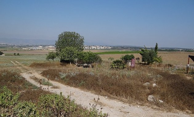 Tel Simron