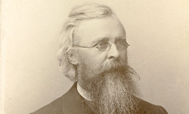 Schulek Frigyes