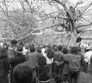 Koncert a Tabánon (1985)