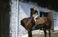 A wiesbadeni lovarda 1958-ban