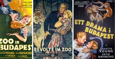 Angol, német és svéd feliratú, korabeli filmplakátok. A romantikus melodrámát rengeteg néző látta, még a dél-amerikai kontinensre is eljutott. Népszerűsége hozzájárult, hogy még több ország lakói ismerjék meg Budapest nevét és tekintsék vonzó úticélnak a magyar fővárost (11)