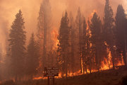 Az égő Yellowstone Nemzeti Park