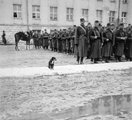 1941, sorakozón a II. utászzászlóalj. "Bütyök igazodj!"