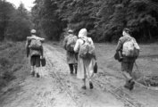 A túrázók akik tudják, hogy az esőből sár lesz, de egyáltalán nem érdekli őket (1959)