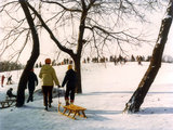 Május 9. park az Óbudai-szigeten, 1981 (Fortepan/Hlatky Katalin-Főkert)