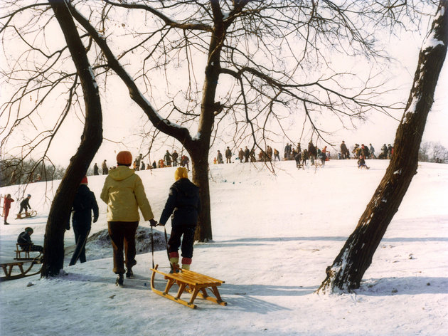 Május 9. park az Óbudai-szigeten, 1981 (Fortepan/Hlatky Katalin-Főkert)