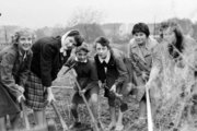 A Ferencvárosi Művelődési Központ kertrendezése a mai Haller utcában, 1961. (Fortepan/Németh Tamás)