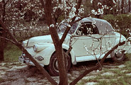 Rügyfakadás Balatonszéplakon, 1960. (Fortepan / Fortepan/Album001)