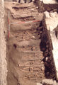 Az ásatás során előkerült csontvázak
