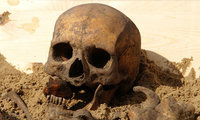  Egy 2014-ben megtalált lengyelországi sírban az elhunyt szájában téglát találtak, a felső fogsor pedig teljes egészében ki volt verve