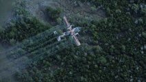 A vietnámi dzsungelt permetező amerikai repülőgép