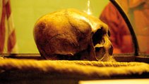 Debosnys múzeumban kiállított koponyája