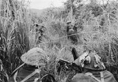 Brit csapatok japán mesterlövészek után kutatnak a magas fűben Burmában, 1944. (kép forrása: Wikimedia Commons)