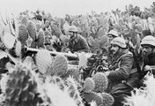 Olasz csapatok egy könnyű tábori löveggel Tunéziában, 1943. (kép forrása: The Atlantic)
