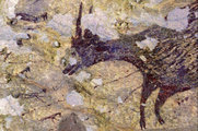 Az Indonéziában felfedezett ősi barlangfestmény egy anoa bölényt ábrázol, amint szembenéz számos kisebb ember-állat figurával (kép forrása: origo.hu / nature.com)