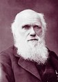 Charles Darwin 1881-ben (kép forrása: Wikimedia Commons)