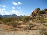 A Sonora-sivatag mai látképe