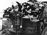 SS-tisztviselő egy holttestekkel megpakolt teherautó platójánál, a bergen-belseni koncentrációs táborban