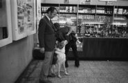 Kutyabarát dollárbolt (1968)