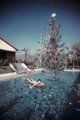 Rita Aarons, 1954 – az ikonikus életmódfotós Slim Aarons felesége dél-kaliforniai módra ünnepli a karácsonyt otthonuk úszómedencéjében. A háttérben jól kivehető a híres Hollywood-felirat.
