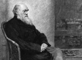 Darwin 1880-ban