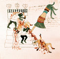 Azték templomi áldozat a Codex Magliabechiano néven ismert, a korai spanyol gyarmati periódusban készült képes azték kéziratból